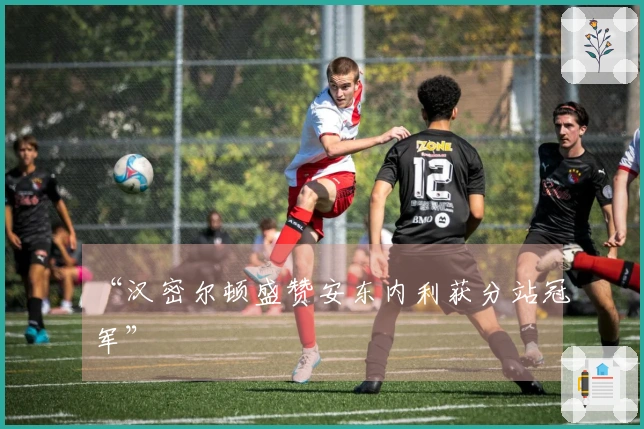 “汉密尔顿盛赞安东内利获分站冠军”