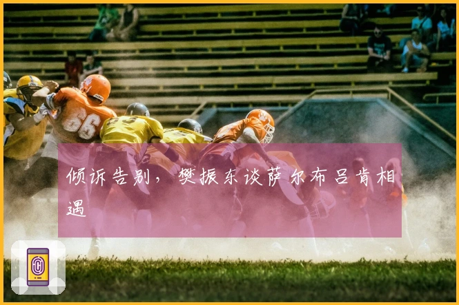 倾诉告别，樊振东谈萨尔布吕肯相遇