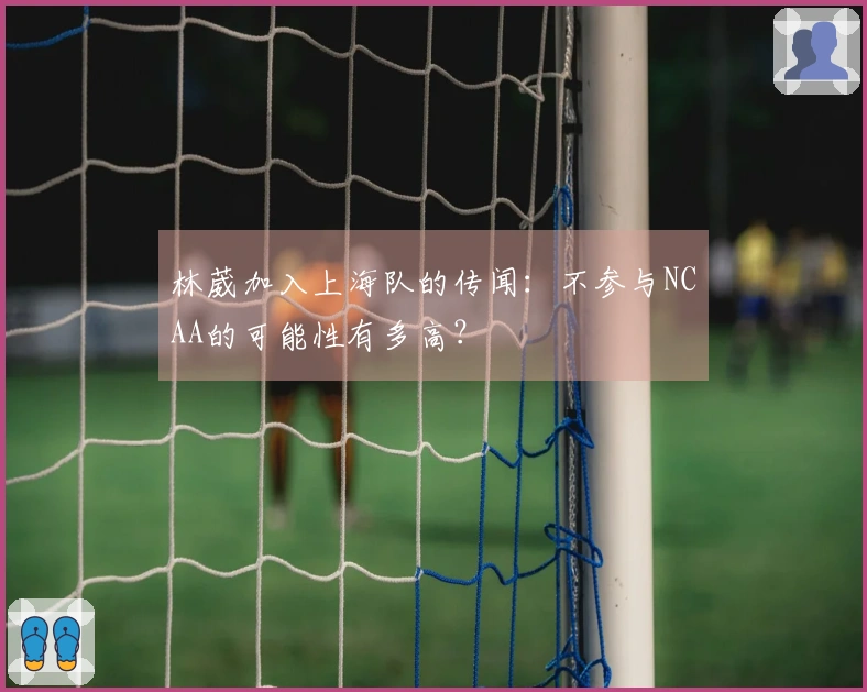 林葳加入上海队的传闻:不参与NCAA的可能性有多高?